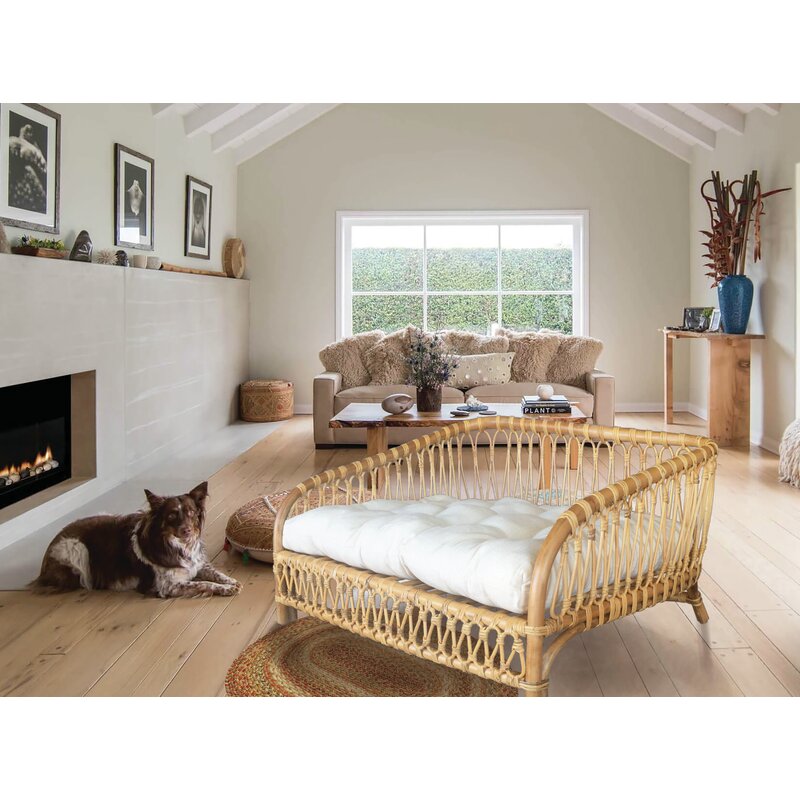 dog sofa with cushion wayfair