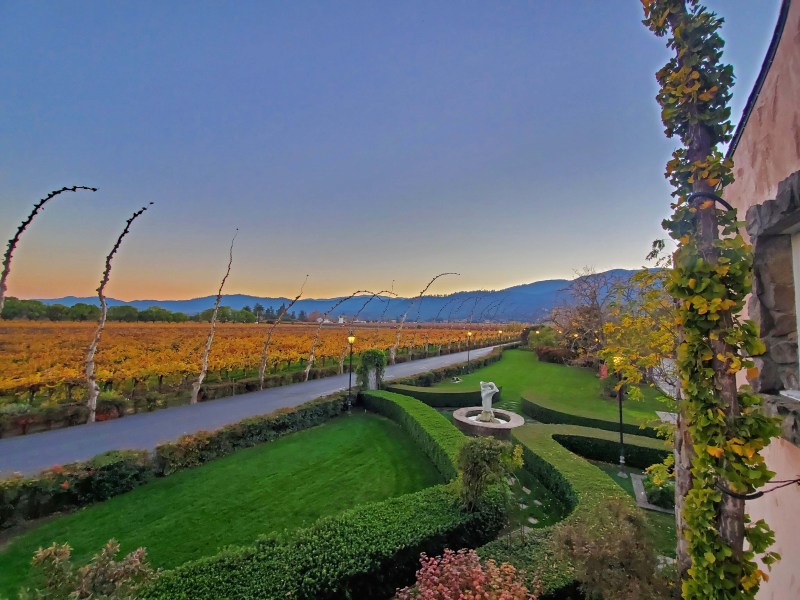 PEJU Winery