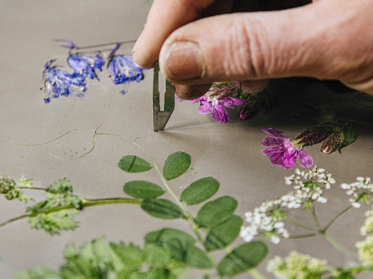 Adding Texture