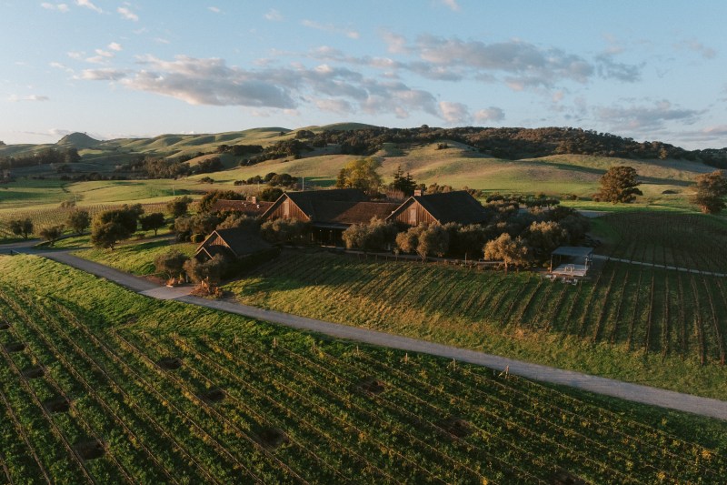 Ram’s Gate Winery
